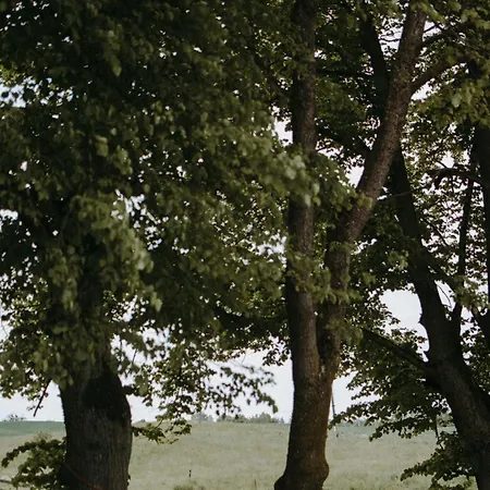 Folwark Stara Kuznia Inn